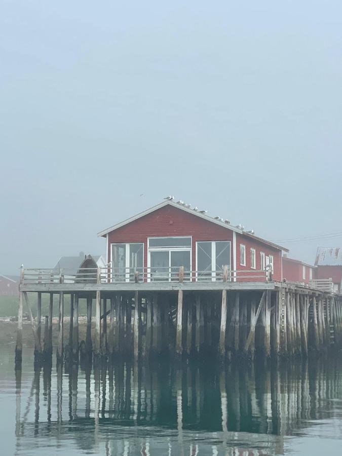 Ekkeroy Lodge - Arctic Living Vadso Ngoại thất bức ảnh