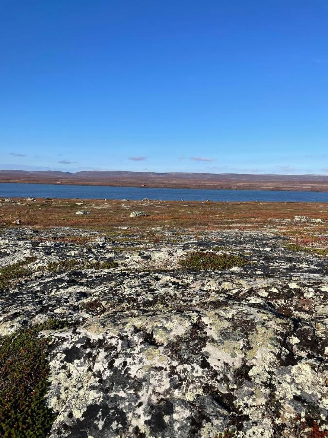Ekkeroy Lodge - Arctic Living Vadso Ngoại thất bức ảnh