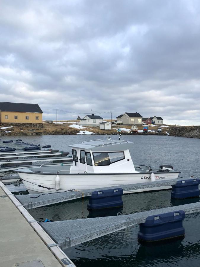 Ekkeroy Lodge - Arctic Living Vadso Ngoại thất bức ảnh